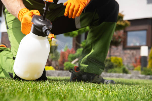 Best Pest Control Near Me  in Hillsbo, OR