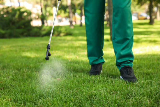 Best Exterminator Services  in Hillsbo, OR