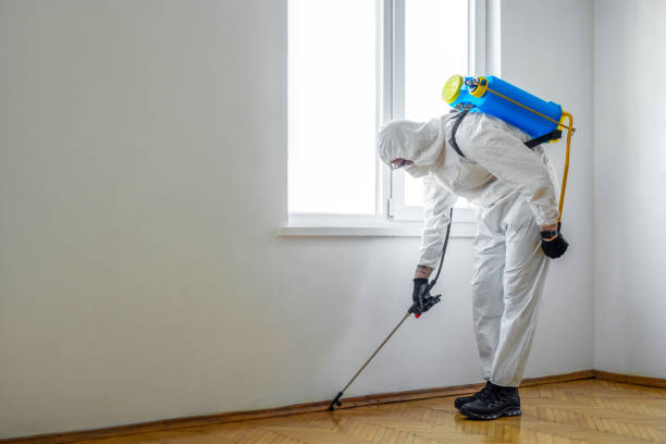 Best Pest Control Cost  in Hillsbo, OR